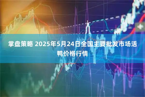 掌盘策略 2025年5月24日全国主要批发市场活鸭价格行情
