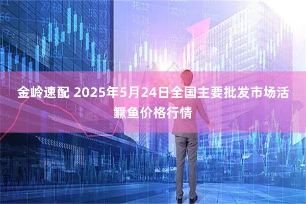 金岭速配 2025年5月24日全国主要批发市场活鳜鱼价格行情