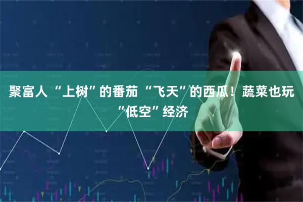 聚富人 “上树”的番茄 “飞天”的西瓜！蔬菜也玩“低空”经济