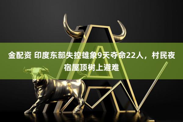 金配资 印度东部失控雄象9天夺命22人，村民夜宿屋顶树上避难