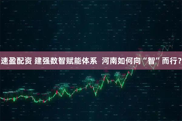速盈配资 建强数智赋能体系  河南如何向“智”而行？