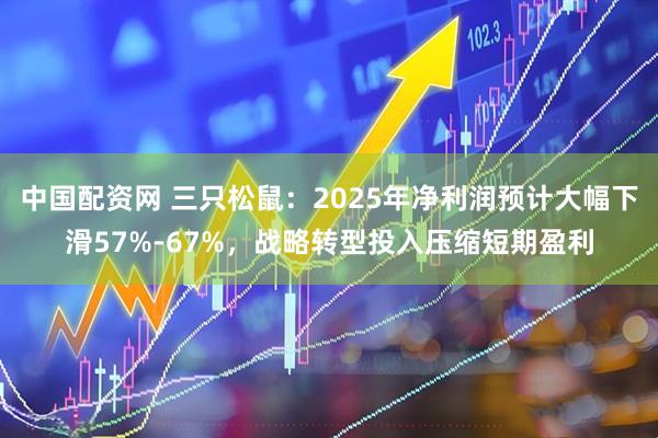 中国配资网 三只松鼠：2025年净利润预计大幅下滑57%-67%，战略转型投入压缩短期盈利