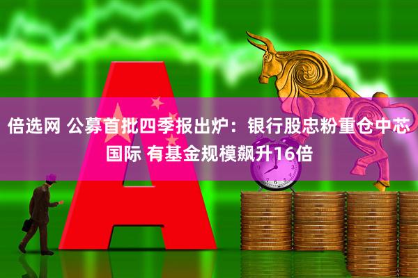 倍选网 公募首批四季报出炉：银行股忠粉重仓中芯国际 有基金规模飙升16倍