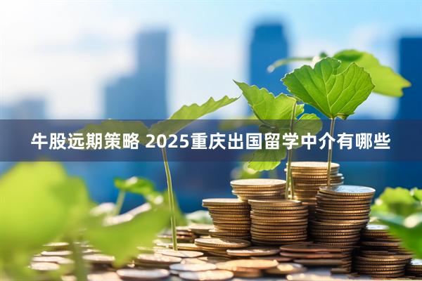 牛股远期策略 2025重庆出国留学中介有哪些